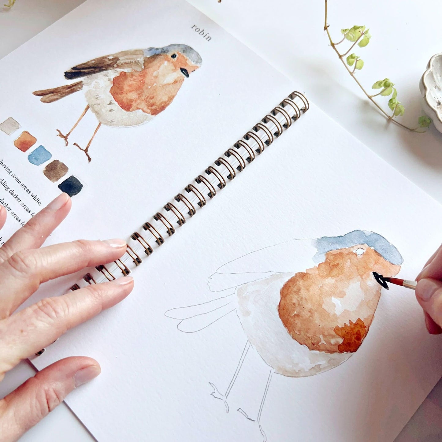 🎁Cozy Slow Watercolor Workbook Art Practice Set